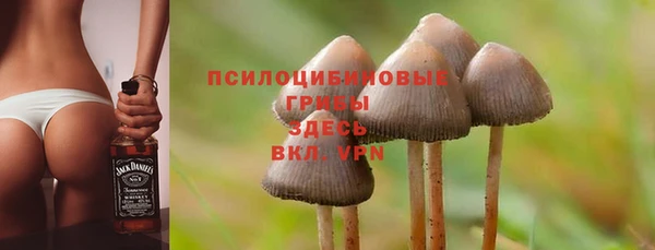 марки nbome Новодвинск