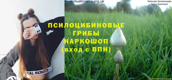 МДМА Новозыбков