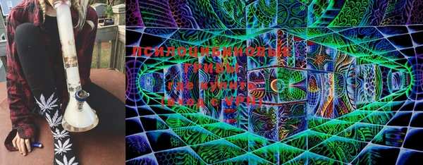 марки nbome Новодвинск