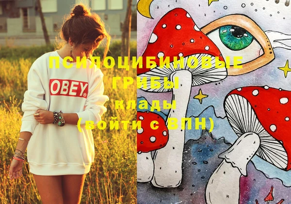марки nbome Новодвинск
